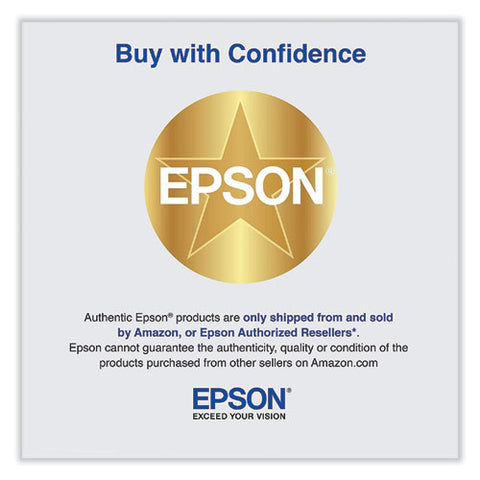 T653900 Ultrachrome Hdr Ink, Light Light Black