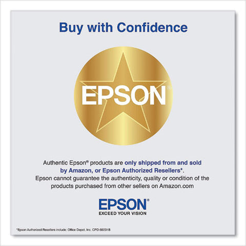 T850700 Ink, Light Black