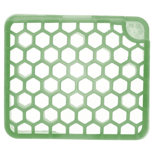 Myfresh Refills, Cucumber Melon, 36/carton