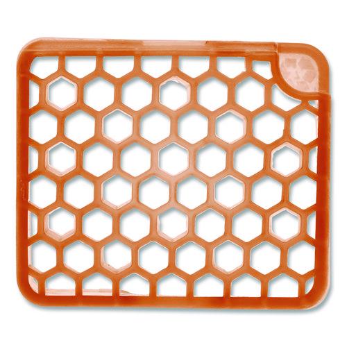 Myfresh Refill, Mango, 36/carton