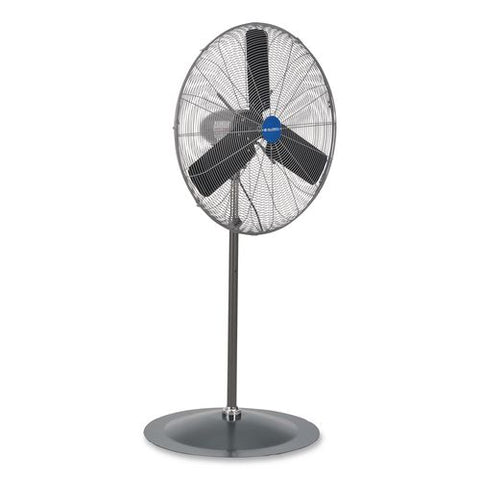 Oscillating Pedestal Fan, 30", 3-speed, Gray