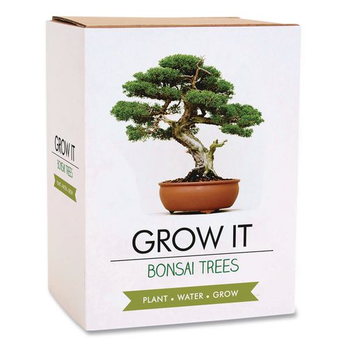 Bonsai Tree Grow Kit