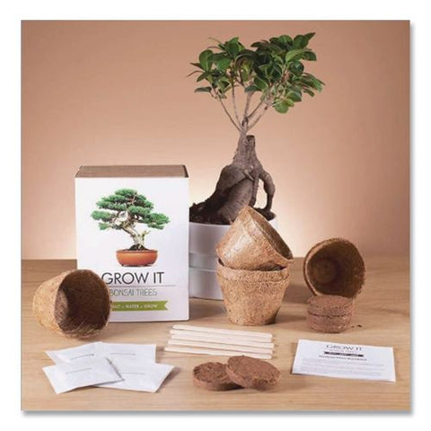 Bonsai Tree Grow Kit