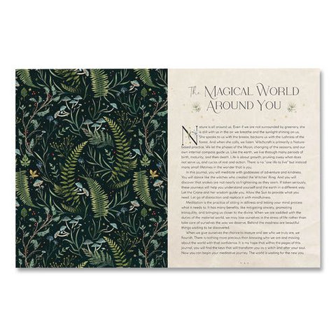 Find Your Magic Prompts Guided Journal, Black/nature Artwork Cover, (160) 8 X 6 Sheets