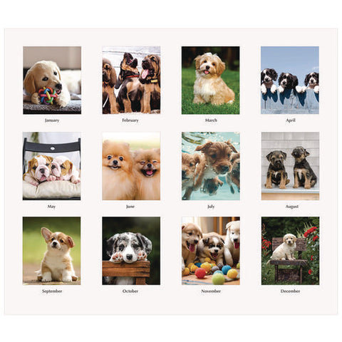 Earthscapes Recycled Desk Tent Monthly Calendar, Puppies Photography, 8.5 X 4.5, White Sheets, 12-month (jan To Dec): 2025