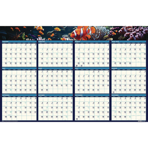 Earthscapes Recycled Reversible/erasable Yearly Wall Calendar, Sea Life Photos, 24 X 37, White Sheets, 12-month(jan-dec):2025