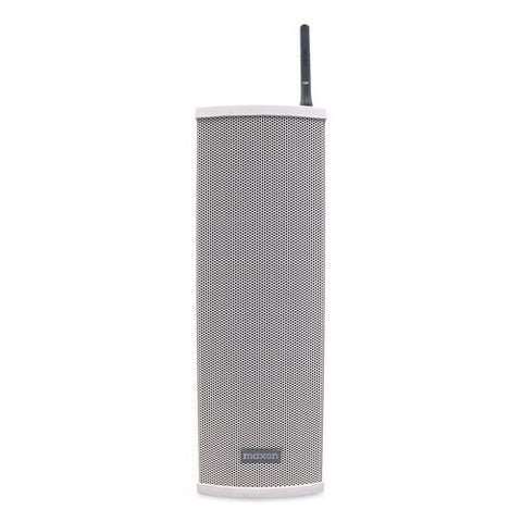 Vhf Wireless Loud Speaker, Gray