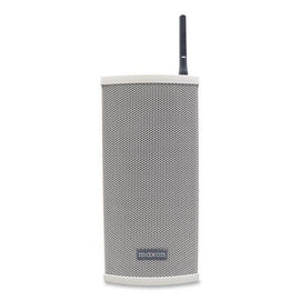 Uhf 20 W Wireless Loud Speaker, Gray