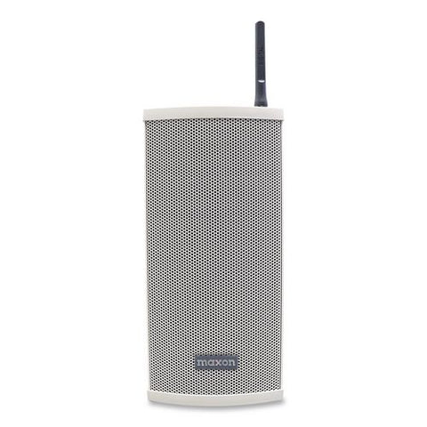 Uhf 20 W Wireless Loud Speaker, Gray