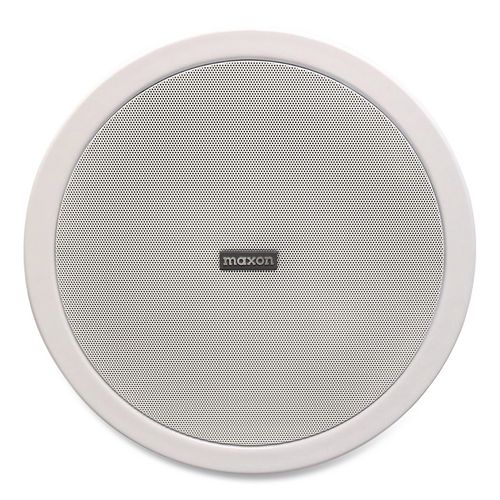 Ceiling Mount Wireless Loud Speaker, Gray