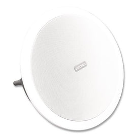 Ceiling Mount Wireless Loud Speaker, Gray