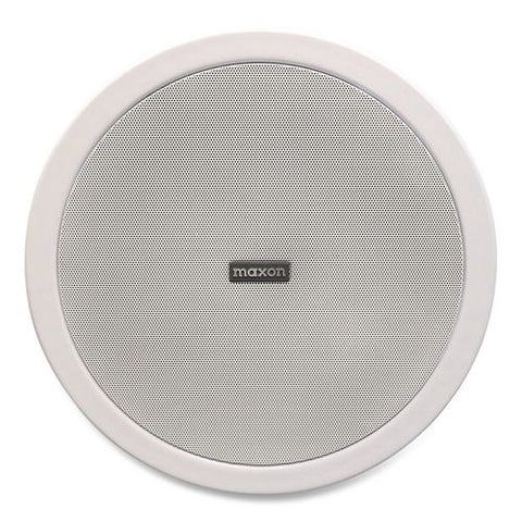 Ceiling Mount Wireless Loud Speaker, Gray