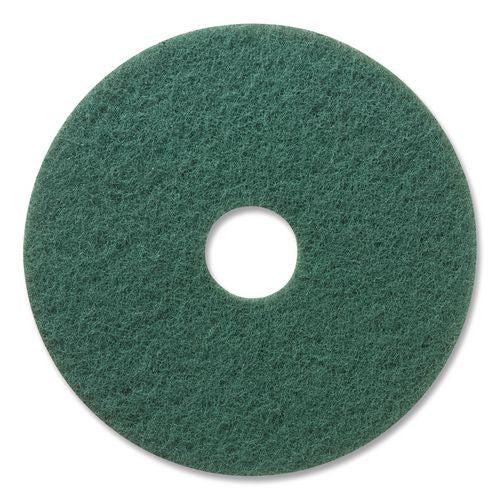 Pad,scrbbng,17",5/cs,gn
