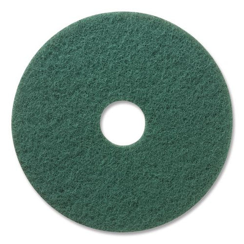 Pad,scrbbng,17",5/cs,gn