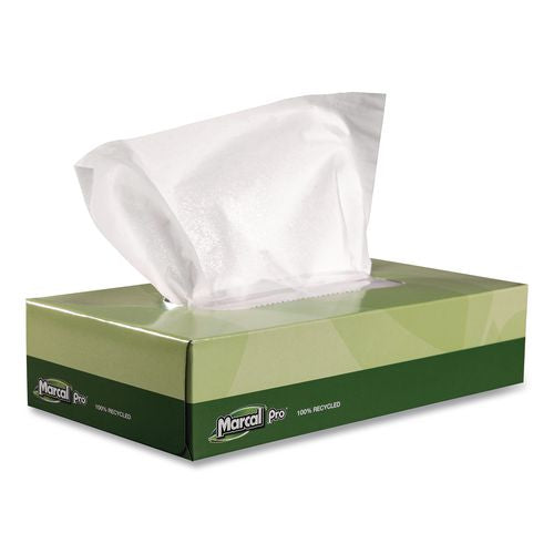 100% Recycled Convenience Pack Facial Tissue, 2-ply, White, 100 Sheets/box, 30/carton