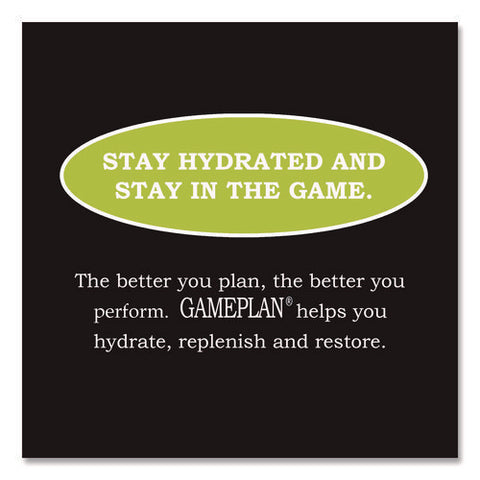 Gameplan Sports Drink, Lemon Lime, 20 Oz Bottle, 24/carton