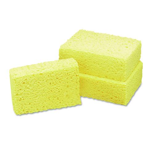 7920008841116,sponge