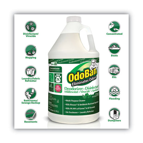 Concentrated Odor Eliminator And Disinfectant, Eucalyptus, 1 Gal Bottle