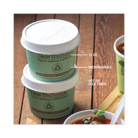 Earthchoice Compostable Soup Cup, Medium, 12 Oz, 3.63" Diameter X 3.63"h, Teal, Paper, 500/carton