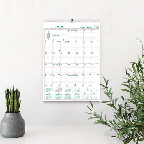 Ecologix Monthly Wall Calendar, Ecologix Artwork, 12 X 17, White/green Sheets, 12-month (jan To Dec): 2025