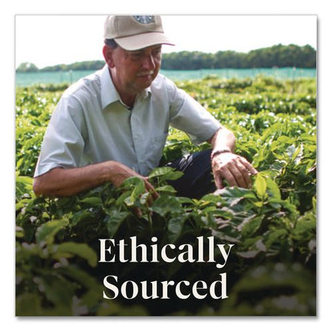 Sunsera Blend Ground Coffee Portion Pack, 2.5 Oz Packet, 18 Packets/box, 4 Boxes/carton