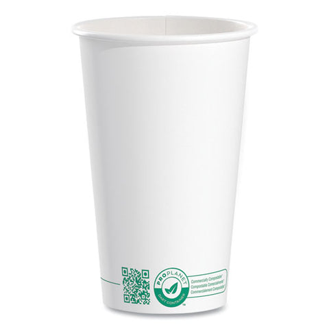 Compostable Paper Hot Cups, 16 Oz, White/green, 1,000/carton