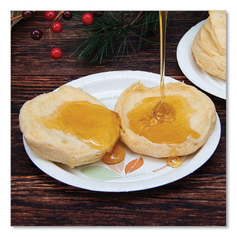 Bare Eco-forward Paper Dinnerware Perfect Pak, Proplanet Seal, Plate, 6" Dia, Green/tan, 125/pack, 4 Packs/carton