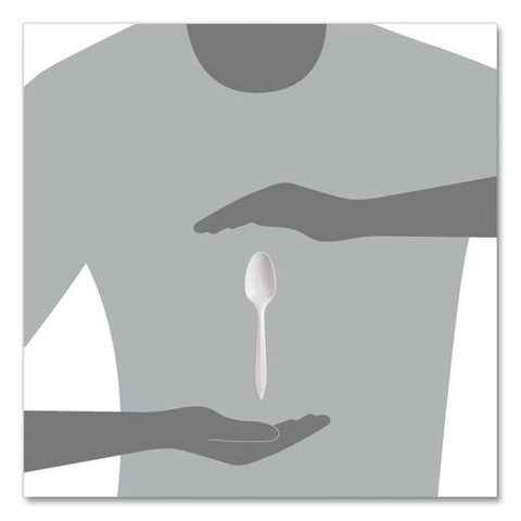 Regal Mediumweight Cutlery, Full-size, Teaspoon, White, 1000/carton