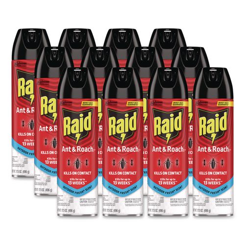 Ant And Roach Killer, 17.5 Oz Aerosol Spray, Outdoor Fresh, 12/carton