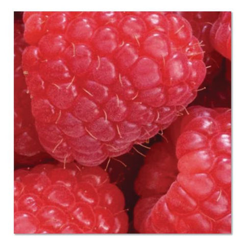 Organic Red Raspberry Black Tea Bottles, 16 Oz Aluminum Bottle, 12/pack