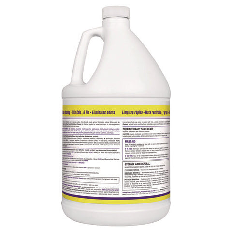 Clean Finish Disinfectant Cleaner, 1 Gal Bottle, Herbal