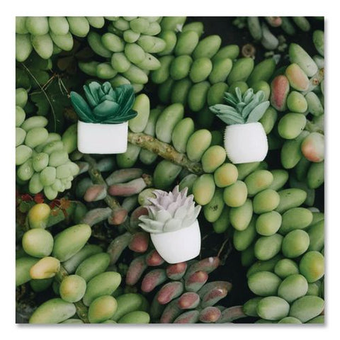 Succulent Push Pins, Green, 9/pack