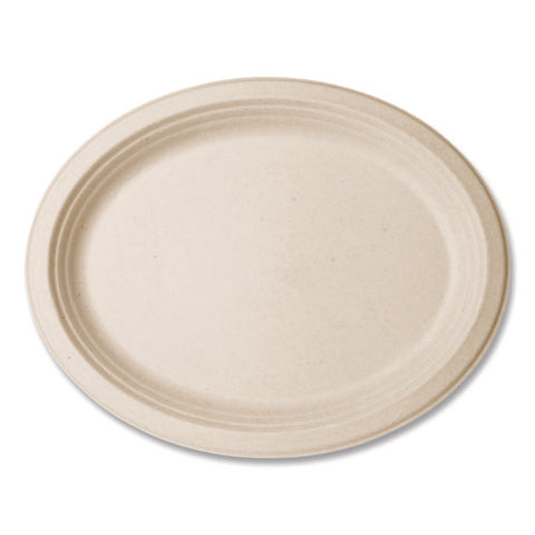 Nourish Molded Fiber Tableware, Compostable, Platter, Sugarcane, 8 X 10, White, 500/carton