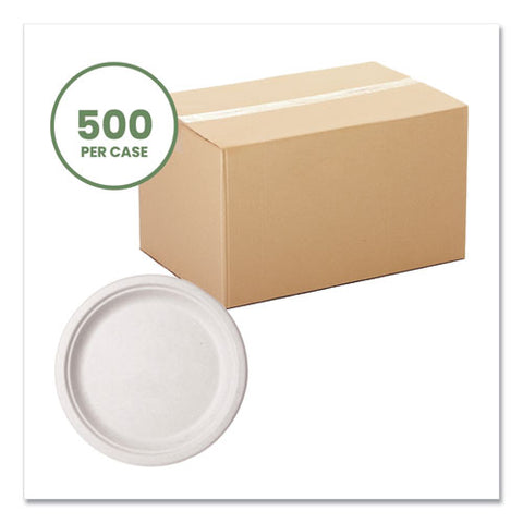 Molded Fiber Tableware, Compostable, Plate, 10" Dia, White, 500/carton