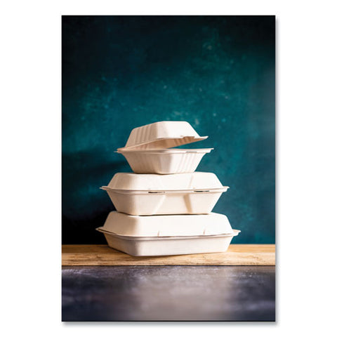 White Molded Fiber Clamshell Containers, Compostable, 3-compartment, 9 X 18 X 2, White, Sugarcane, 200/carton