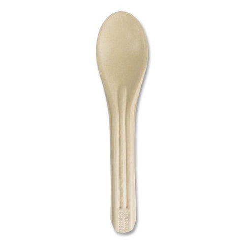 Notree Cutlery, Light Mediumweight, Spoon, Paper, Natural, 1,000/carton